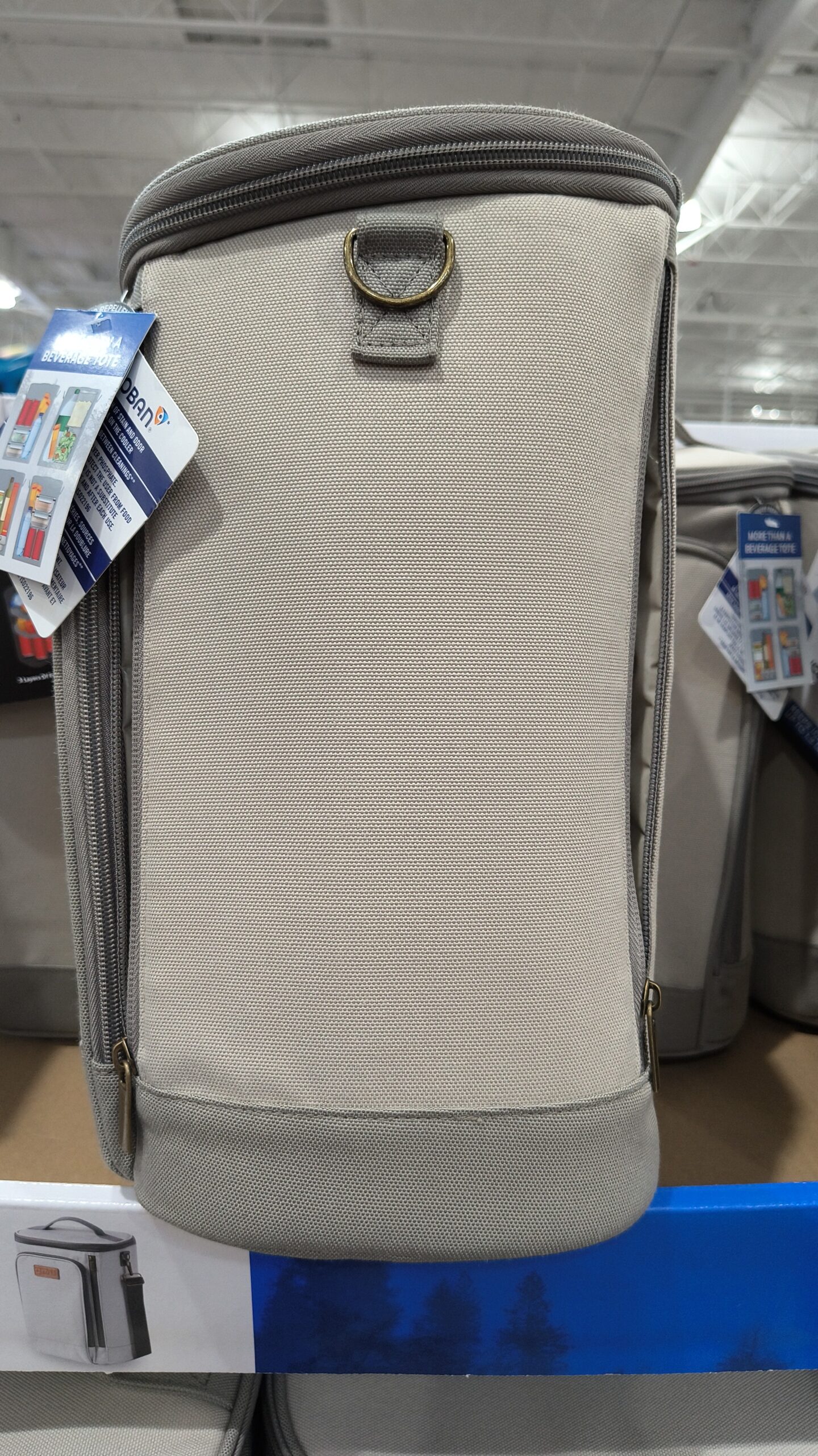 C. Hielera Portátil Tipo Tote Titan Deep Freeze (18 latas) - Imagen 7